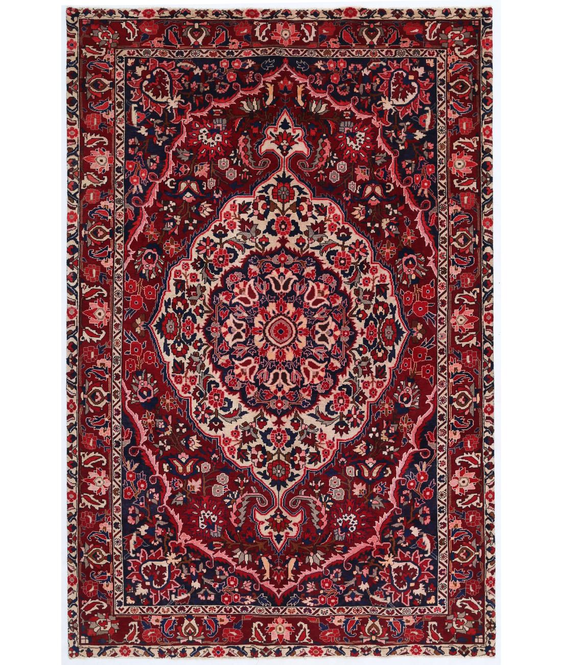 Hand Knotted Persian Bakhtiari Wool Rug - 6'9'' x 10'4'' 6' 9" X 10' 4" ( 206 X 315 ) / Red / Blue