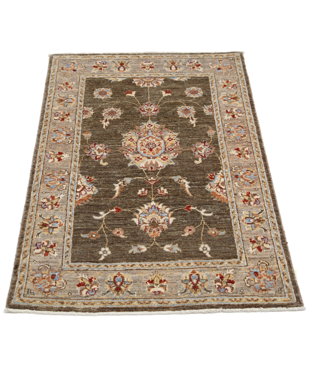 Ziegler 2'7'' X 3'10'' Hand-Knotted Wool Rug 2'7'' x 3'10'' (78 X 115) / Green / Brown