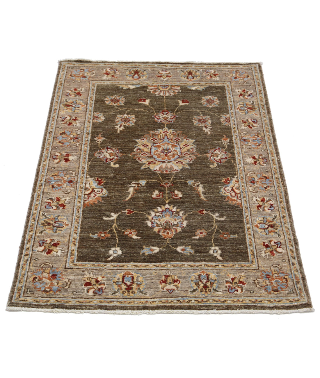 Ziegler 2'8'' X 3'9'' Hand-Knotted Wool Rug 2'8'' x 3'9'' (80 X 113) / Green / Brown