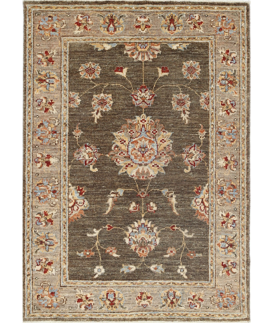 Ziegler 2'8'' X 3'9'' Hand-Knotted Wool Rug 2'8'' x 3'9'' (80 X 113) / Green / Brown