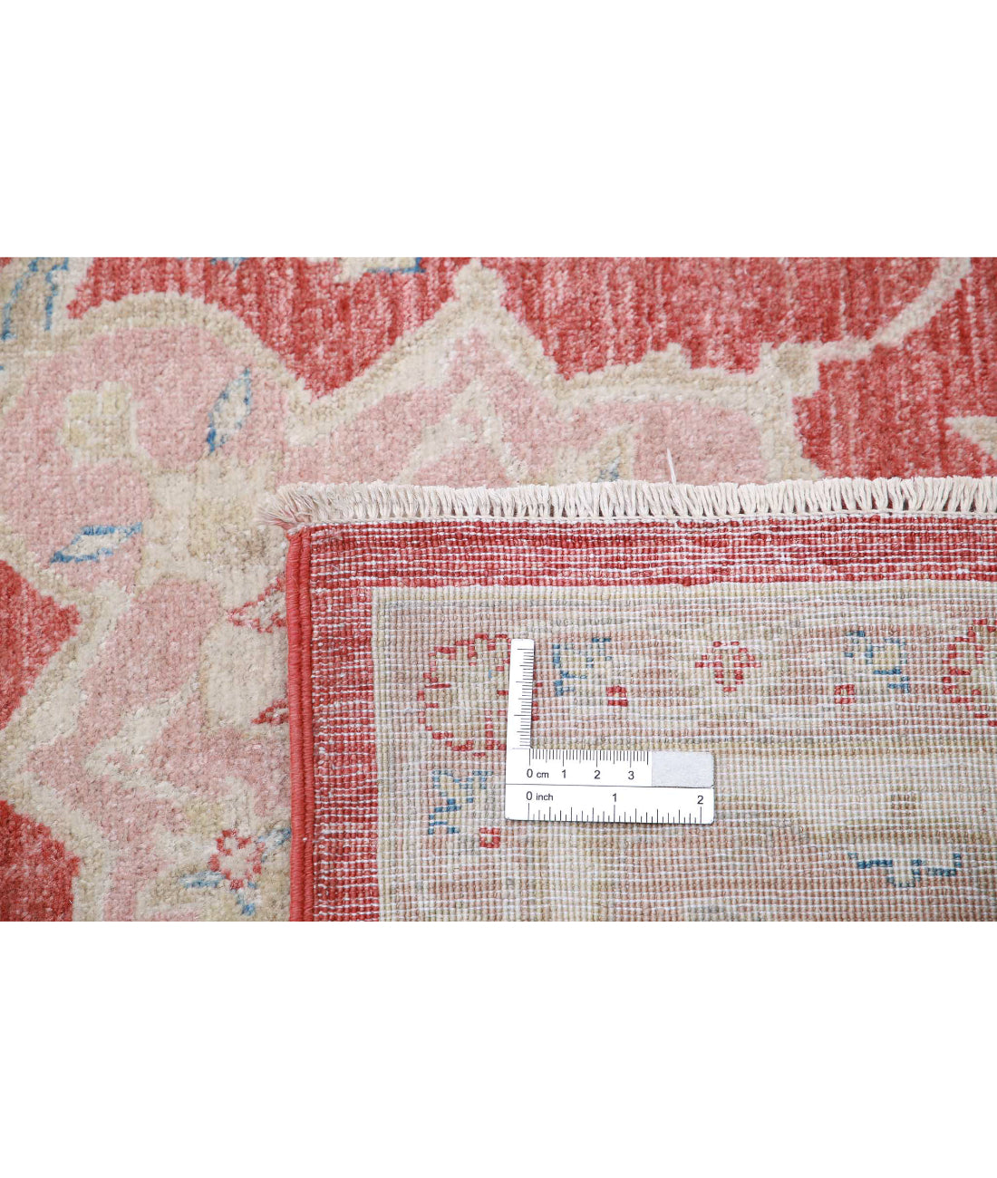 Ariana 6'10'' X 10'0'' Hand-Knotted Wool Rug 6'10'' x 10'0'' (205 X 300) / Red / Ivory