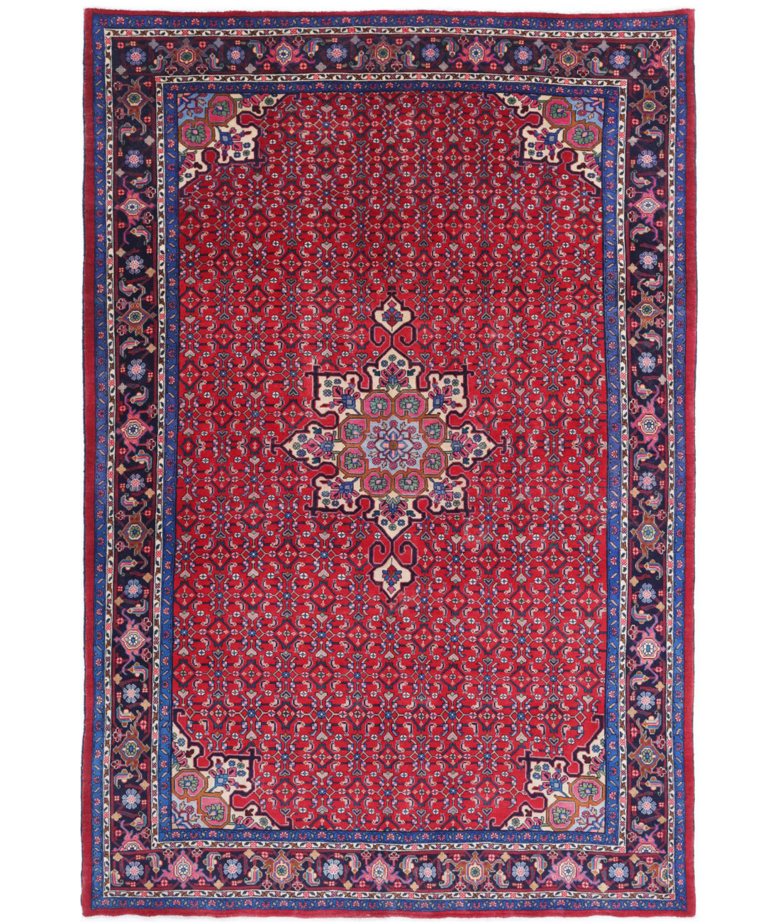 Bijar 6'5'' X 9'9'' Hand-Knotted Wool Rug 6'5'' x 9'9'' (193 X 293) / Red / Blue
