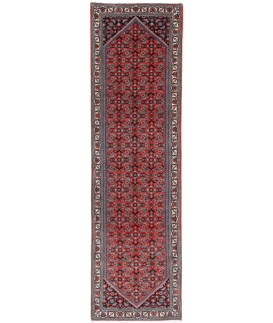 Bijar 2'6'' X 9'5'' Hand-Knotted Wool Rug 2'6'' x 9'5'' (75 X 283) / Rust / Ivory