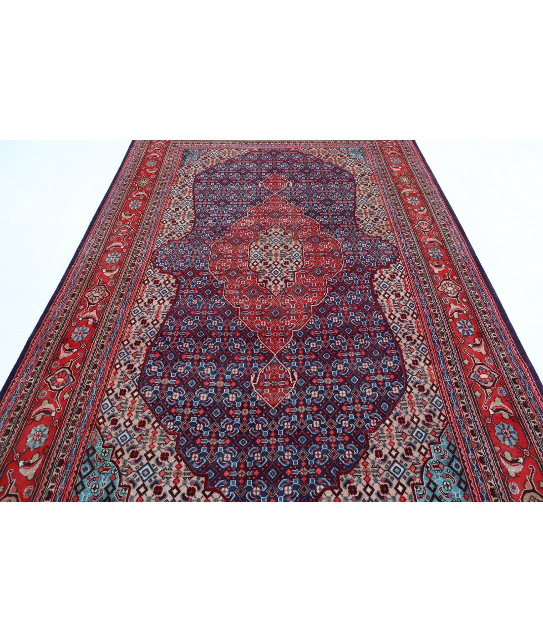 Bijar 6'7'' X 10'7'' Hand-Knotted Wool Rug 6'7'' x 10'7'' (198 X 318) / Blue / Red