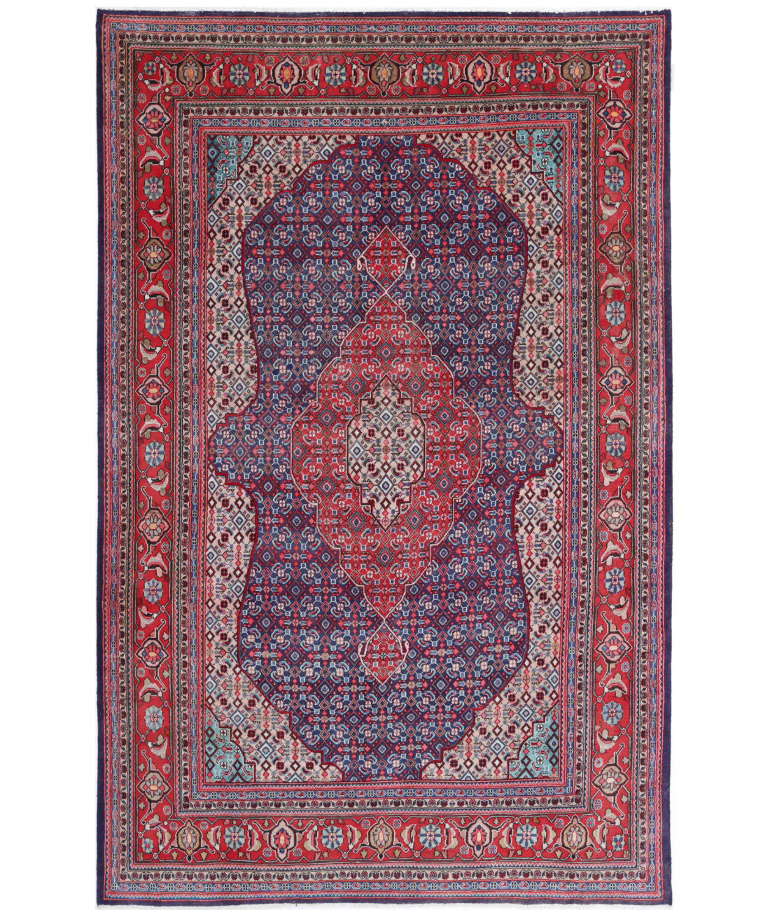 Bijar 6'7'' X 10'7'' Hand-Knotted Wool Rug 6'7'' x 10'7'' (198 X 318) / Blue / Red