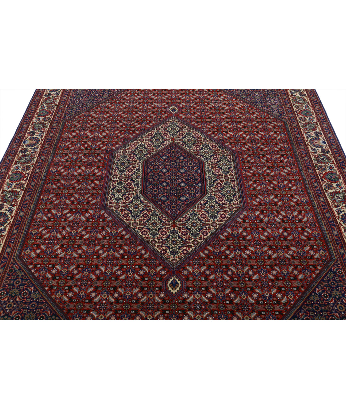 Bijar 6'8'' X 9'11'' Hand-Knotted Wool Rug 6'8'' x 9'11'' (200 X 298) / Red / Ivory