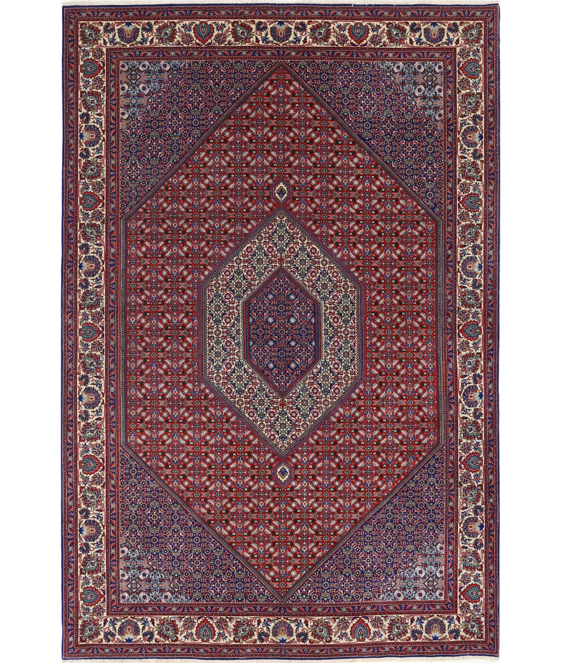 Bijar 6'8'' X 9'11'' Hand-Knotted Wool Rug 6'8'' x 9'11'' (200 X 298) / Red / Ivory