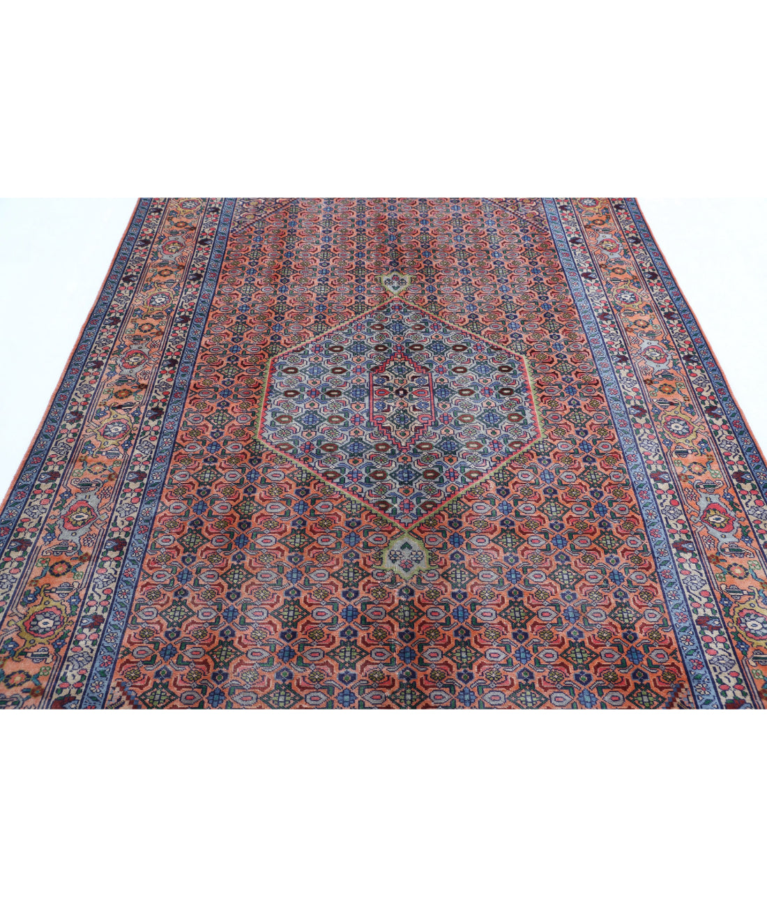 Bijar 6'1'' X 9'3'' Hand-Knotted Wool Rug 6'1'' x 9'3'' (183 X 278) / Peach / Blue