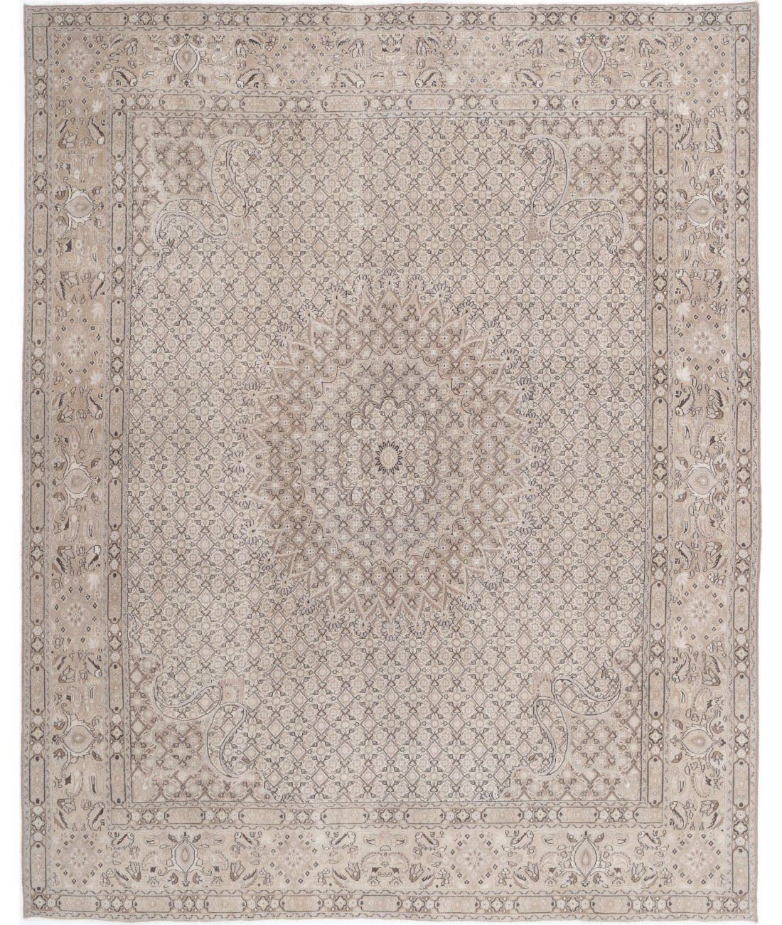 Bijar 7'9'' X 9'7'' Hand-Knotted Wool Rug 7'9'' x 9'7'' (233 X 288) / Taupe / Brown