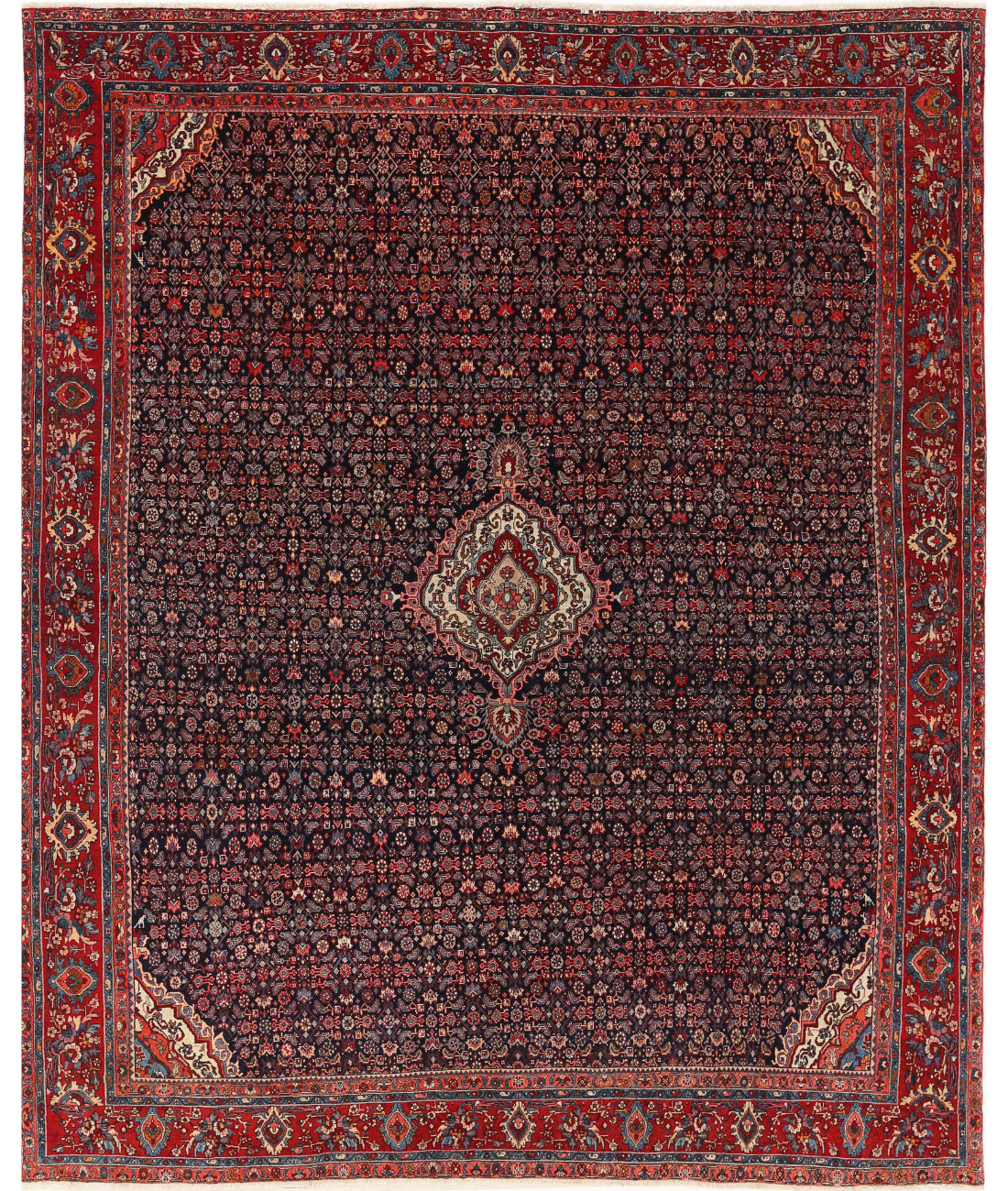 Bijar 10'0'' X 12'4'' Hand-Knotted Wool Rug 10'0'' x 12'4'' (300 X 370) / Blue / Red