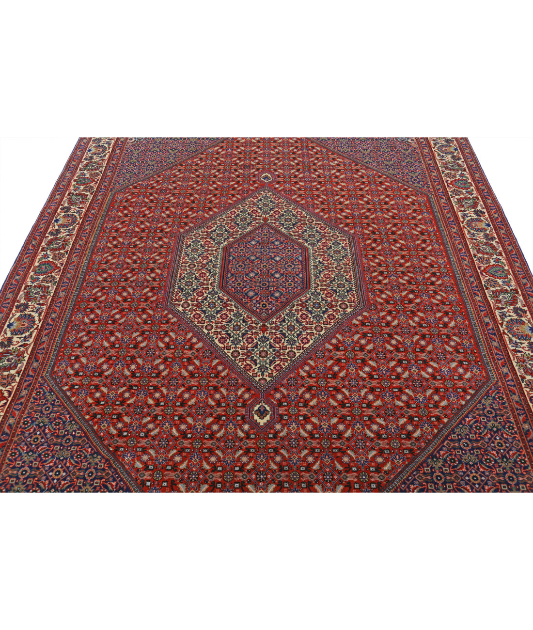 Bijar 6'7'' X 9'11'' Hand-Knotted Wool Rug 6'7'' x 9'11'' (198 X 298) / Red / Ivory