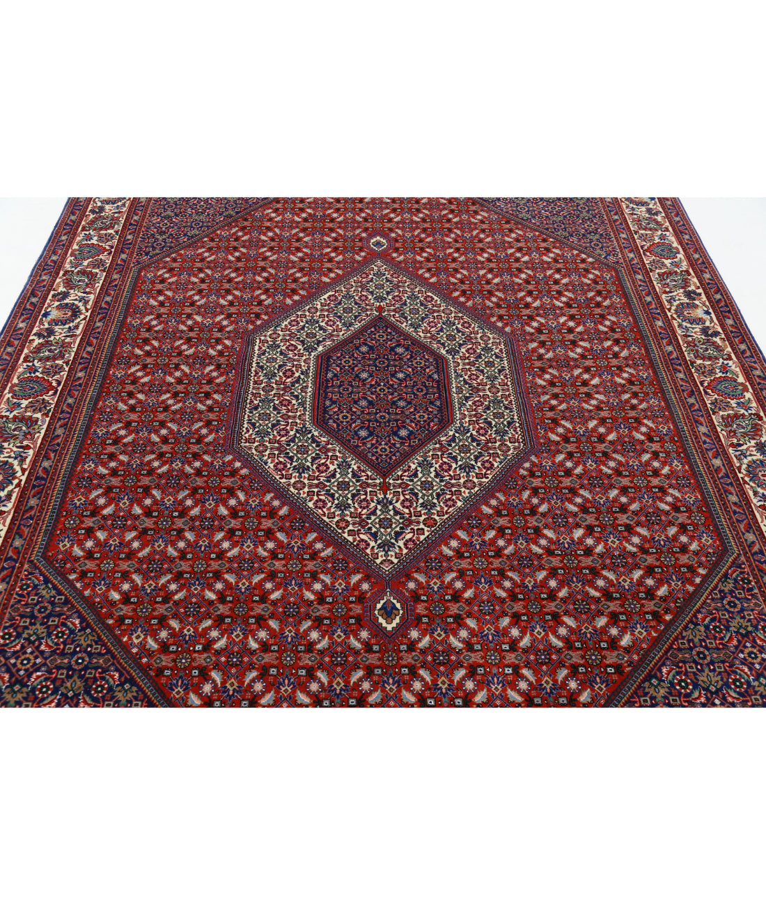 Bijar 6'7'' X 10'0'' Hand-Knotted Wool-Silk Rug 6'7'' x 10'0'' (198 X 300) / Red / Ivory
