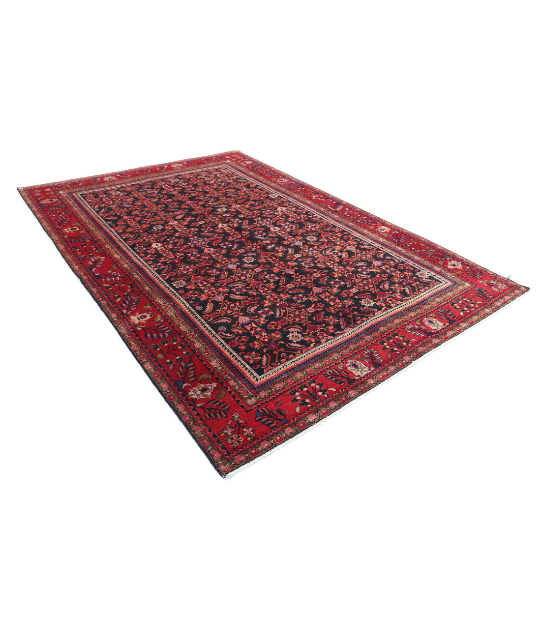 Hamadan 6'11'' X 9'11'' Hand-Knotted Wool Rug 6'11'' x 9'11'' (208 X 298) / Black / Red