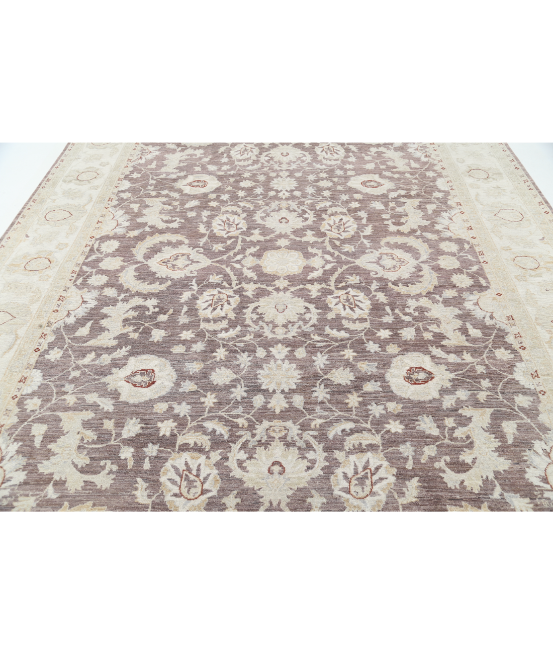 Hand Knotted Serenity Wool Rug 9' 0" X 11' 9" 9' 0" X 11' 9" (274 X 358) / Brown / Ivory