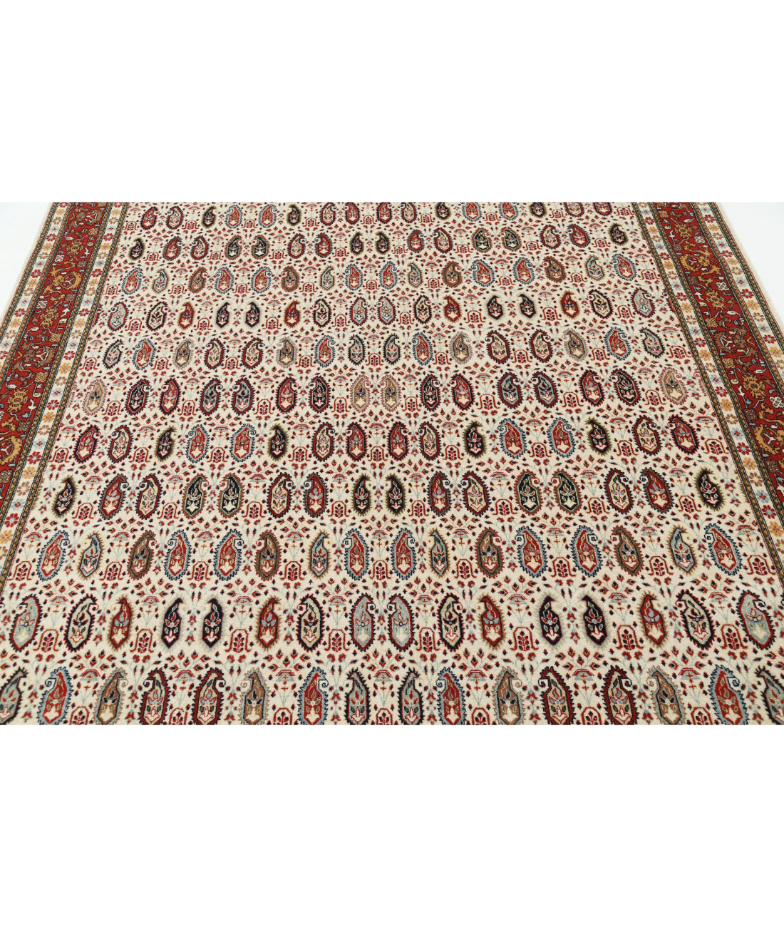 Tabriz 6'5'' X 9'5'' Hand-Knotted Wool Rug 6'5'' x 9'5'' (193 X 283) / Ivory / Red