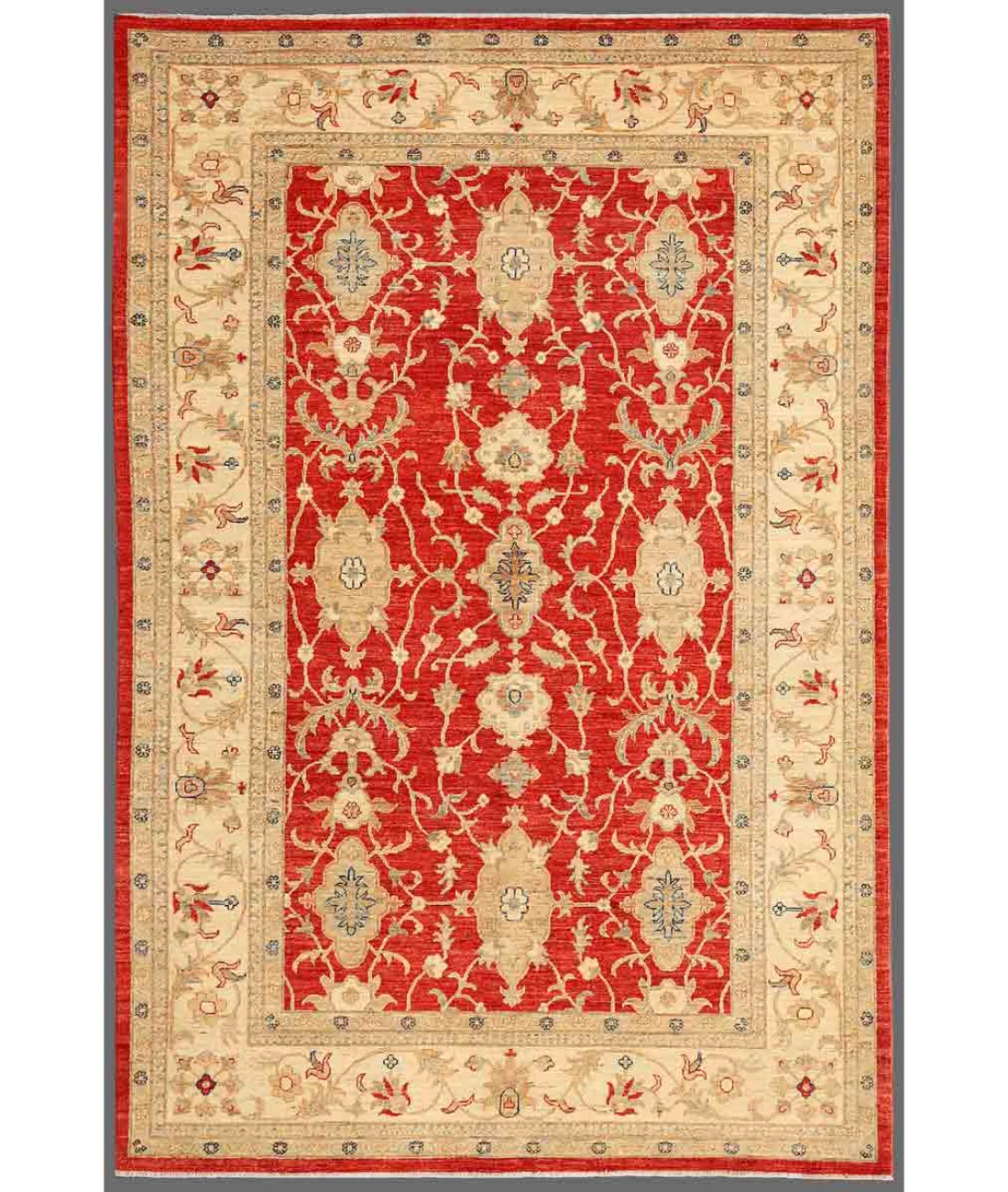 Hand Knotted Ziegler Wool Rug 5' 8" X 8' 6" 5' 8" X 8' 6" (173 X 259) / Red / Ivory