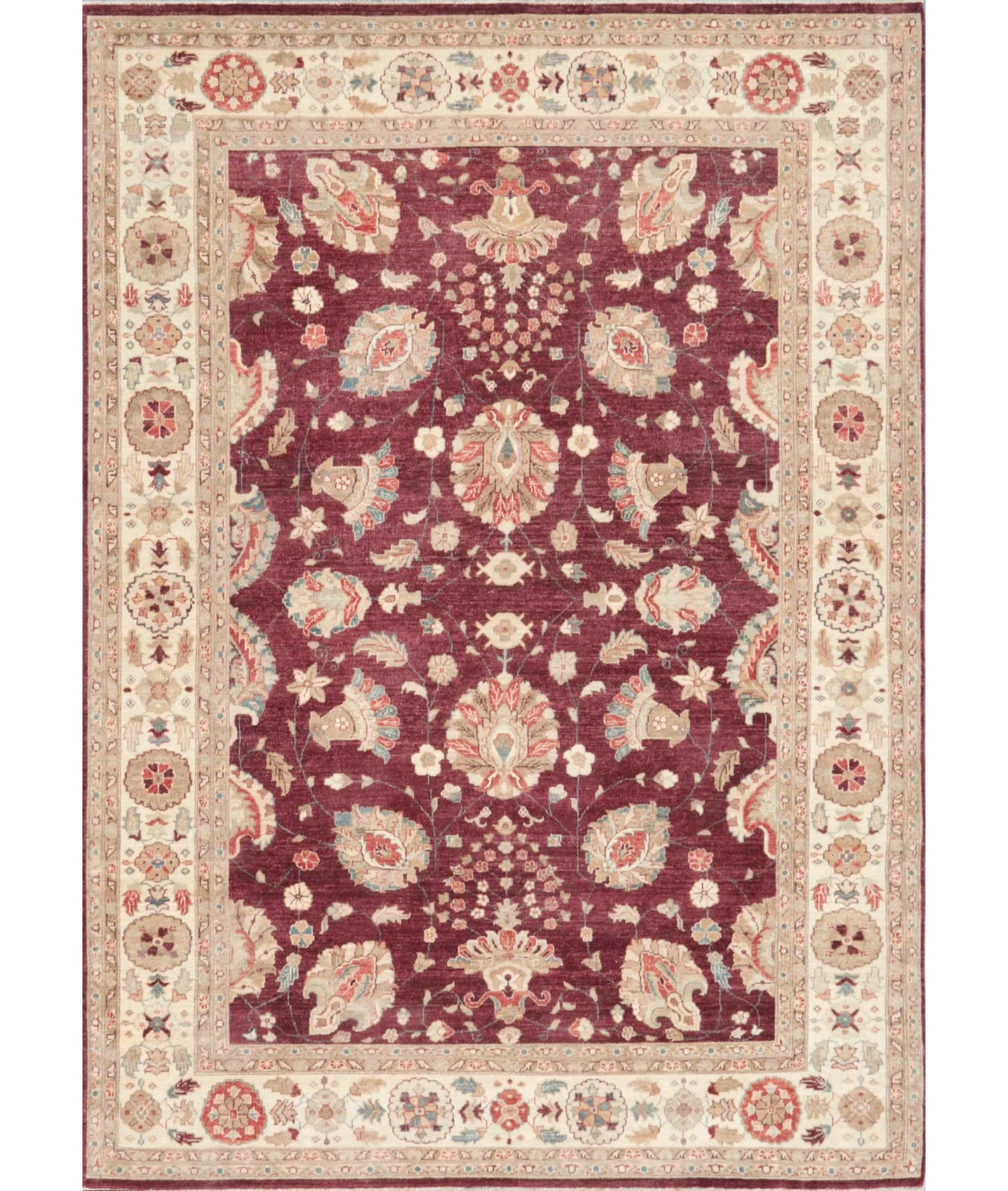 Hand Knotted Ziegler Wool Rug 8' 0" X 11' 2" 8' 0" X 11' 2" (244 X 340) / Burgundy / Ivory