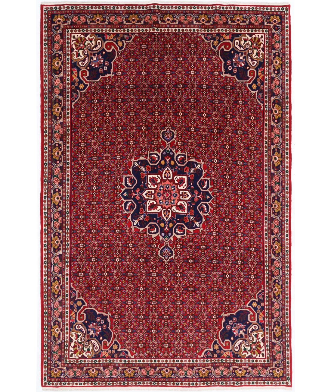 Hand Knotted Persian Bijar Wool Rug - 6'11'' x 10'6'' 6' 11" X 10' 6" ( 211 X 320 ) / Red / Blue