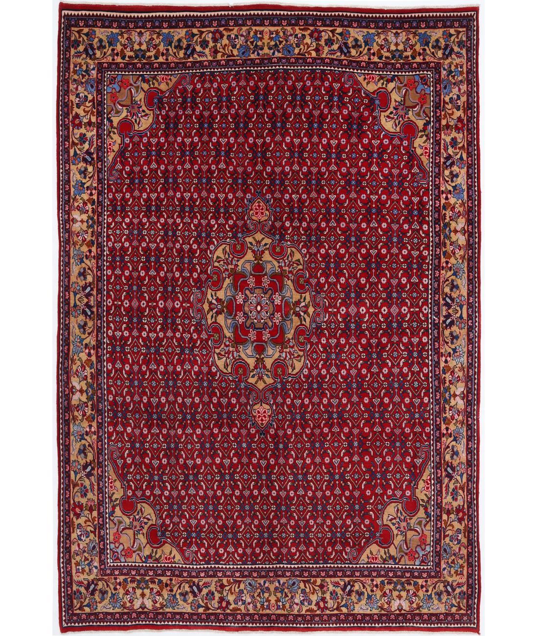 Hand Knotted Persian Bijar Wool Rug - 6'8'' x 10'0'' 6' 8" X 10' 0" ( 203 X 305 ) / Red / Beige