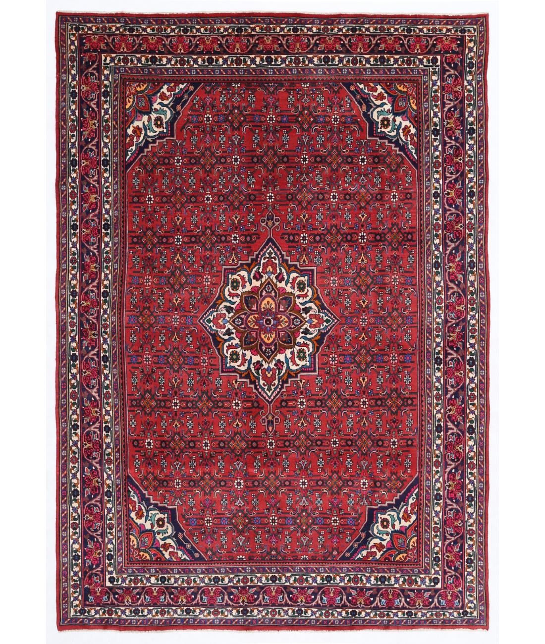 Hand Knotted Persian Bijar Wool Rug - 6'8'' x 9'8'' 6' 8" X 9' 8" ( 203 X 295 ) / Red / Blue