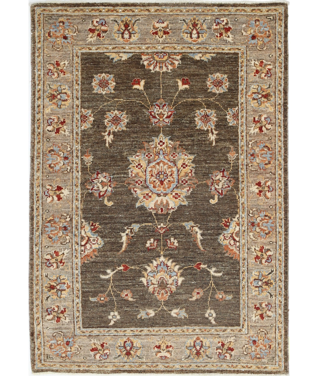 Ziegler 2'7'' X 3'10'' Hand-Knotted Wool Rug 2'7'' x 3'10'' (78 X 115) / Green / Brown