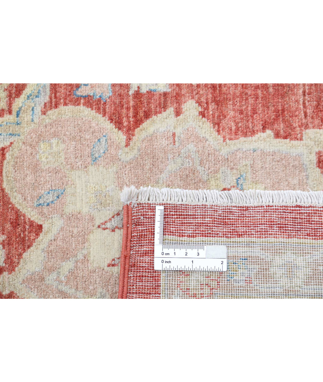 Ariana 6'10'' X 10'1'' Hand-Knotted Wool Rug 6'10'' x 10'1'' (205 X 303) / Red / Ivory