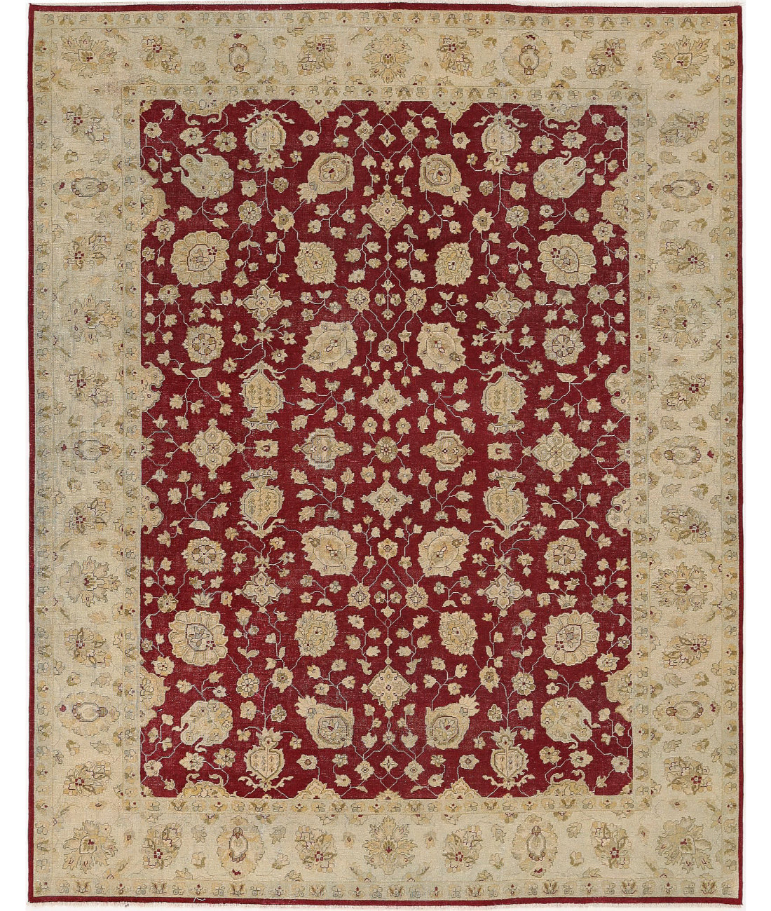 Ziegler 8'10'' X 11'4'' Hand-Knotted Wool Rug 8'10'' x 11'4'' (265 X 340) / Red / Ivory