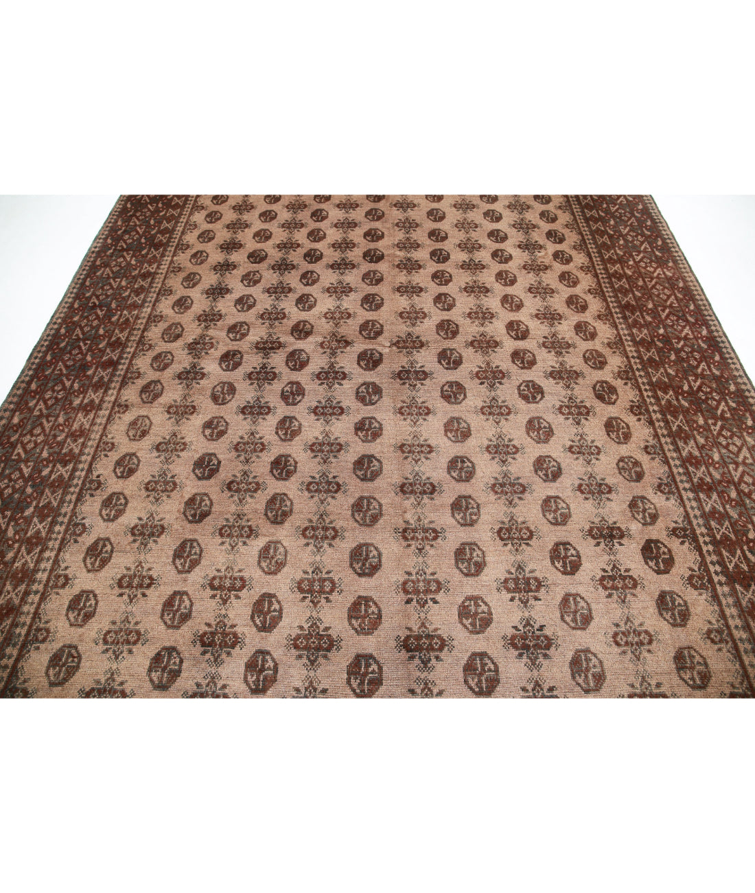 Revival 8'2'' X 10'7'' Hand-Knotted Wool Rug 8'2'' x 10'7'' (245 X 318) / Brown / Taupe