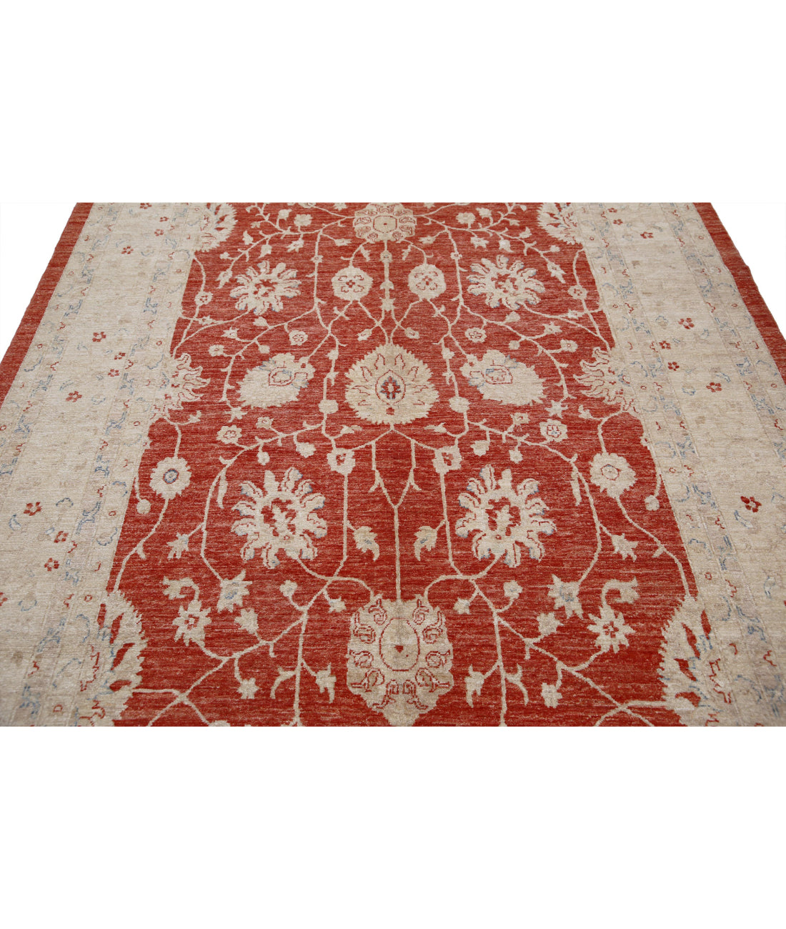 Serenity 6'8'' X 9'9'' Hand-Knotted Wool Rug 6'8'' x 9'9'' (200 X 293) / Red / Ivory