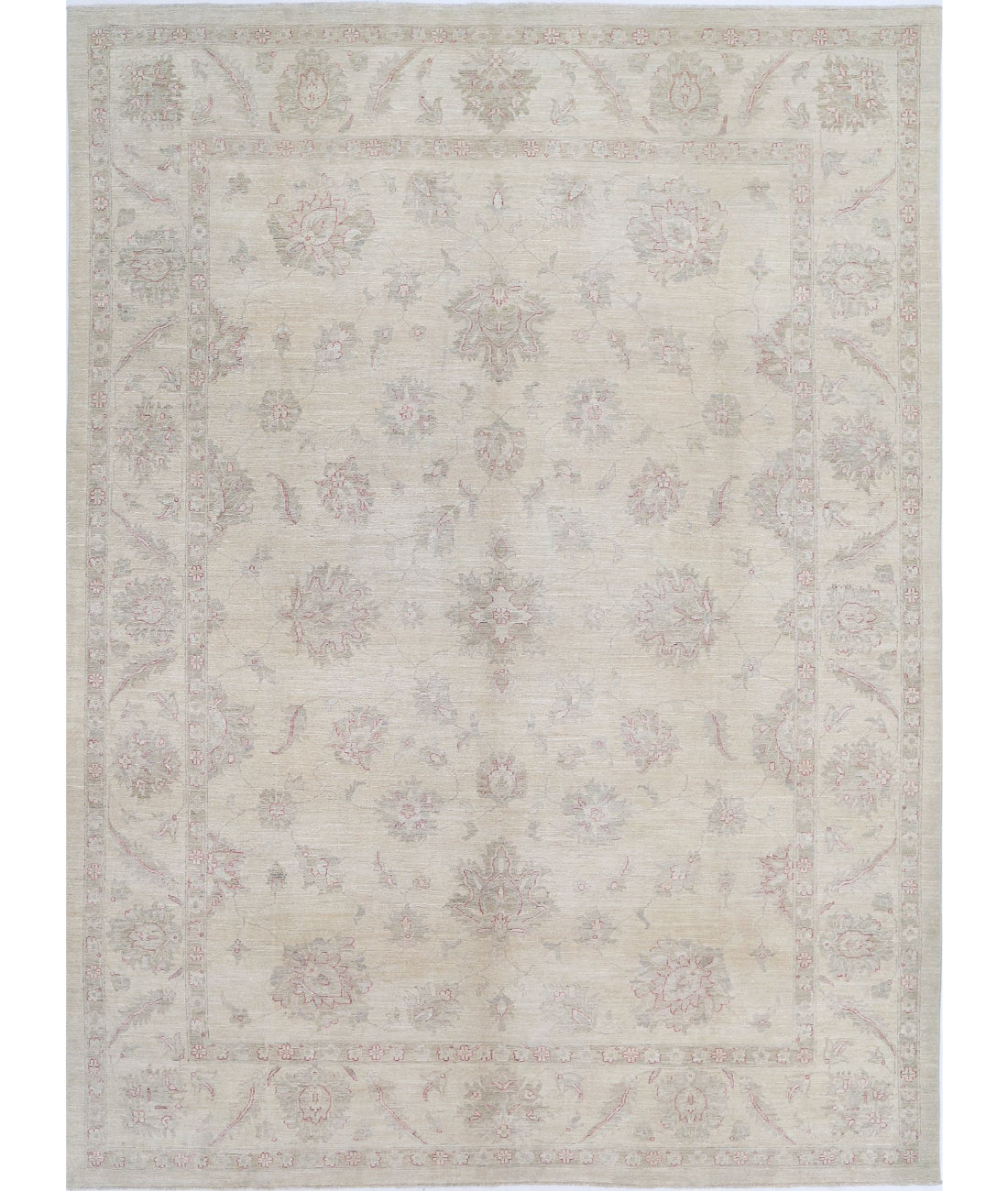 Serenity 9'0'' X 12'3'' Hand-Knotted Wool Rug 9'0'' x 12'3'' (270 X 368) / Ivory / Red