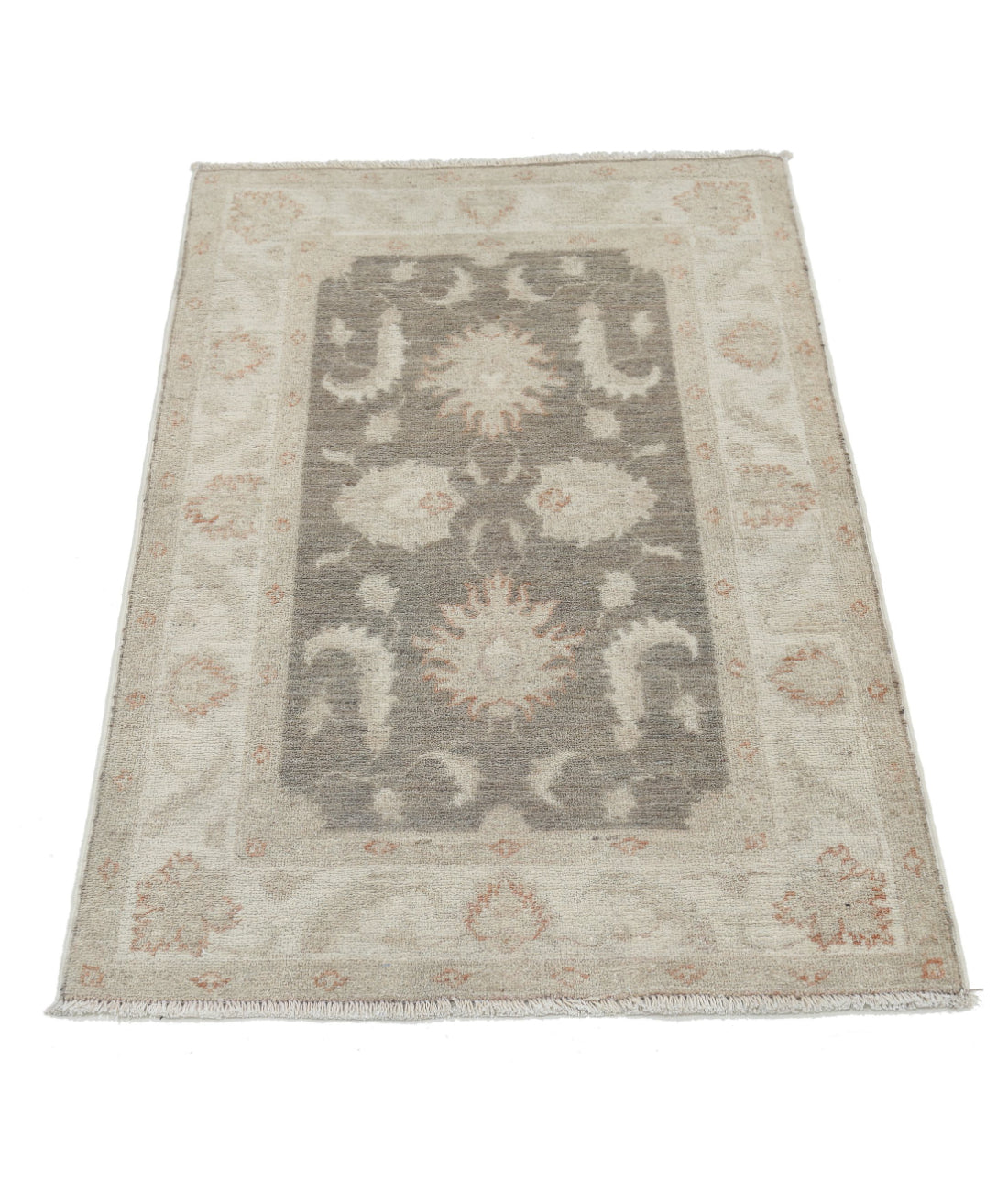 Serenity 2'7'' X 3'11'' Hand-Knotted Wool Rug 2'7'' x 3'11'' (78 X 118) / Brown / Ivory