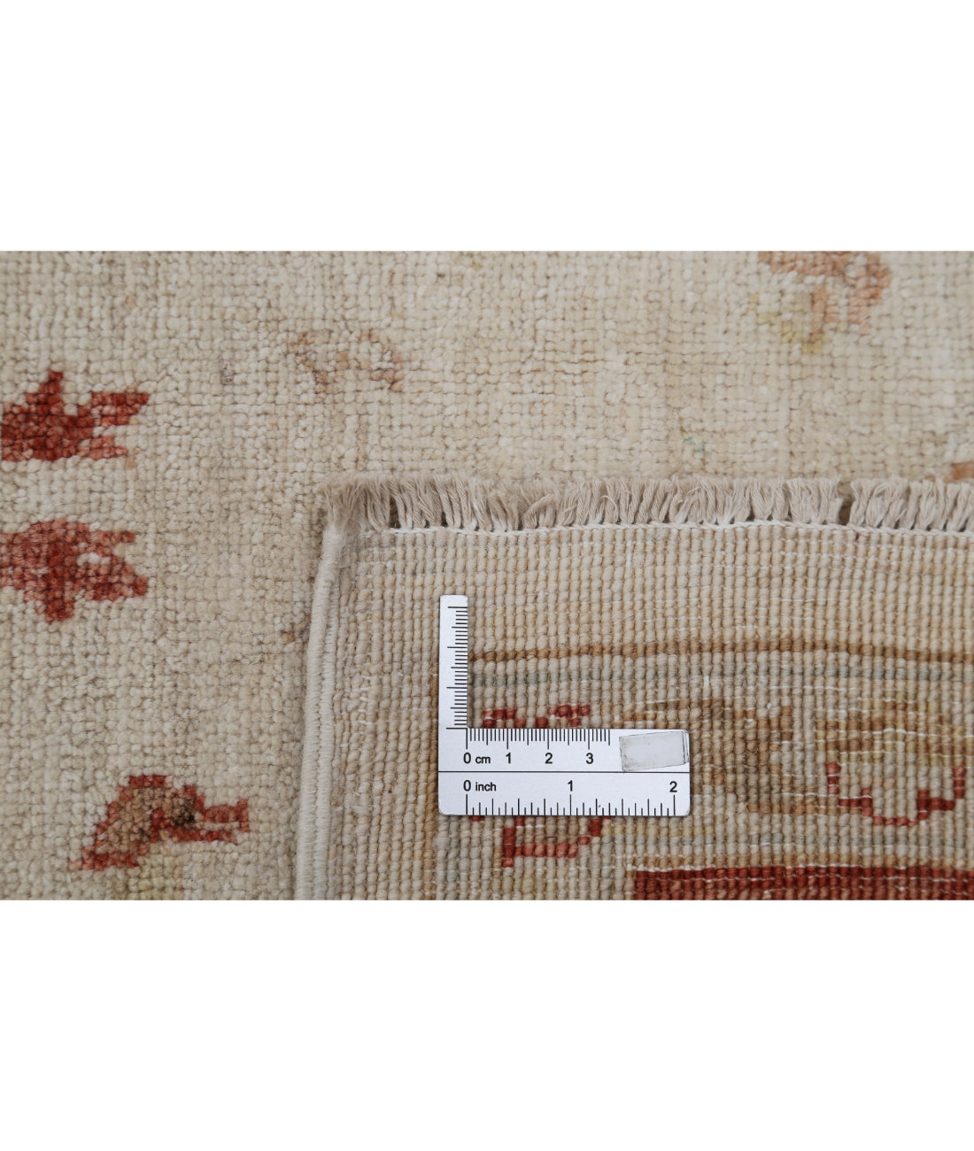 Ziegler 6'6'' X 9'7'' Hand-Knotted Wool Rug 6'6'' x 9'7'' (195 X 288) / Ivory / Red