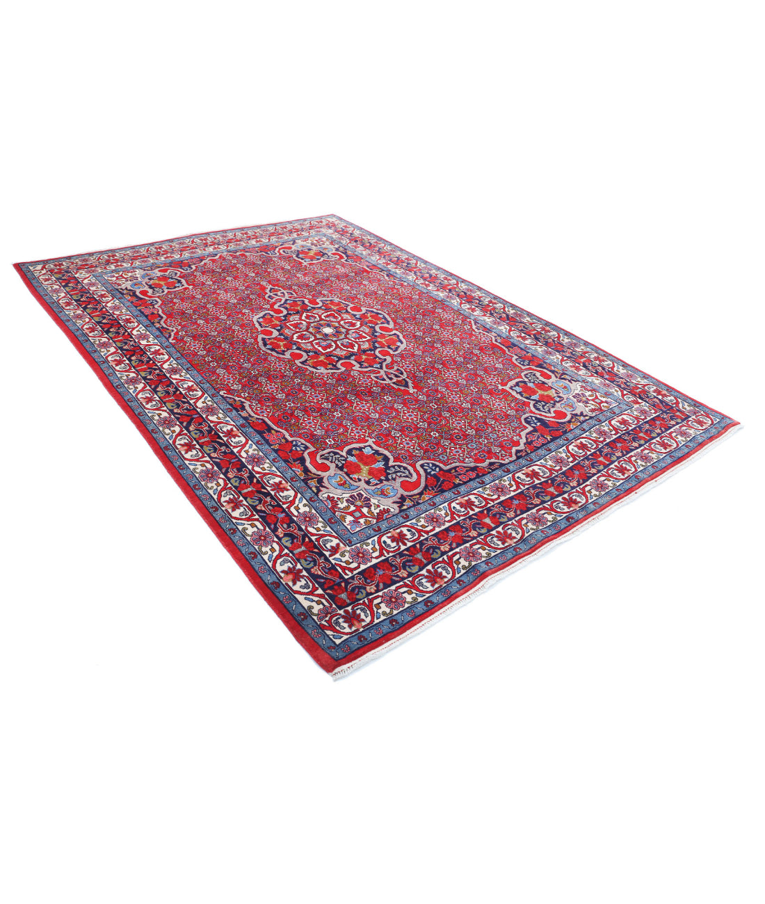 Bijar 6'9'' X 9'8'' Hand-Knotted Wool Rug 6'9'' x 9'8'' (203 X 290) / Red / Blue