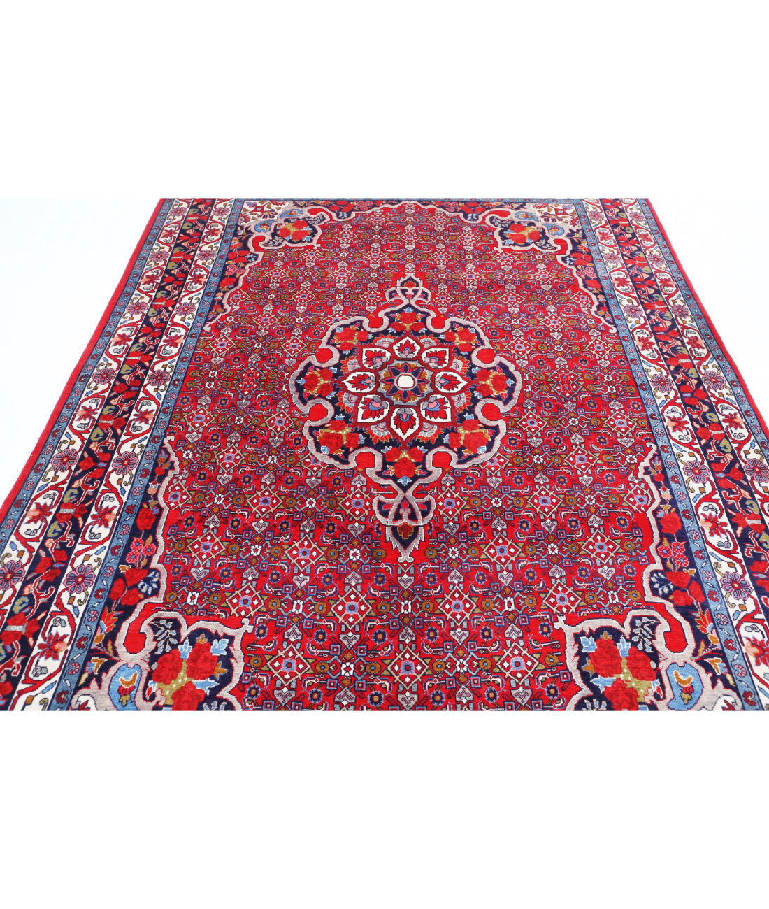 Bijar 6'9'' X 9'8'' Hand-Knotted Wool Rug 6'9'' x 9'8'' (203 X 290) / Red / Blue