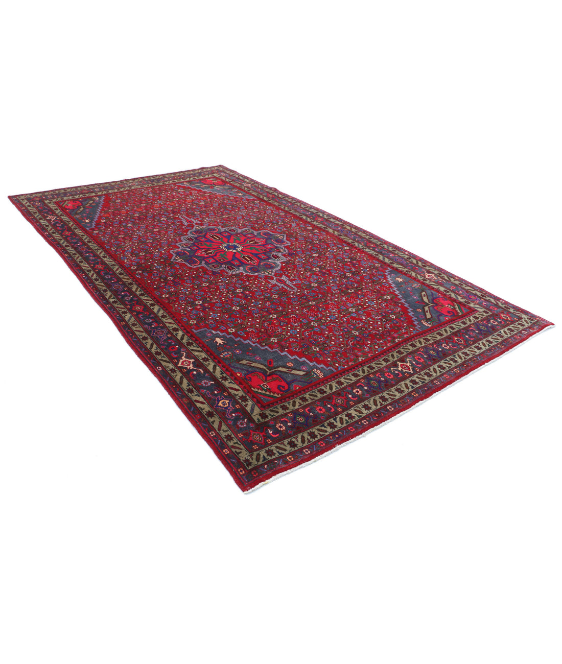 Bijar 6'9'' X 11'6'' Hand-Knotted Wool Rug 6'9'' x 11'6'' (203 X 345) / Red / Blue