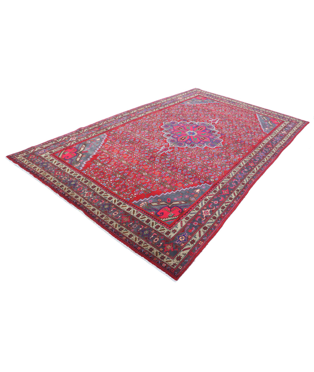 Bijar 6'9'' X 11'6'' Hand-Knotted Wool Rug 6'9'' x 11'6'' (203 X 345) / Red / Blue