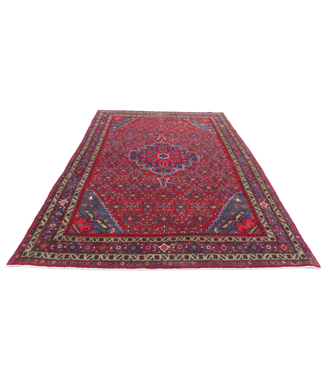 Bijar 6'9'' X 11'6'' Hand-Knotted Wool Rug 6'9'' x 11'6'' (203 X 345) / Red / Blue