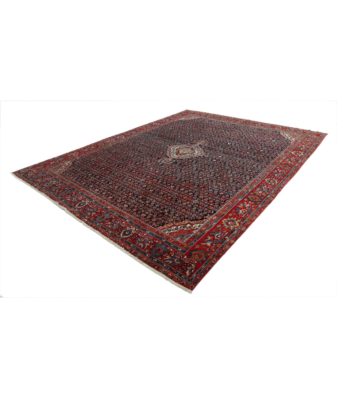 Bijar 10'0'' X 12'4'' Hand-Knotted Wool Rug 10'0'' x 12'4'' (300 X 370) / Blue / Red