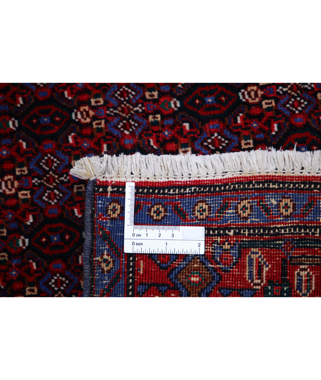 Bijar 6'8'' X 10'11'' Hand-Knotted Wool Rug 6'8'' x 10'11'' (200 X 328) / Blue / Red