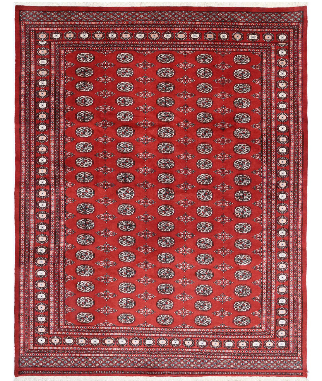 Bokhara 7'11'' X 10'0'' Hand-Knotted Wool Rug 7'11'' x 10'0'' (238 X 300) / Red / Ivory