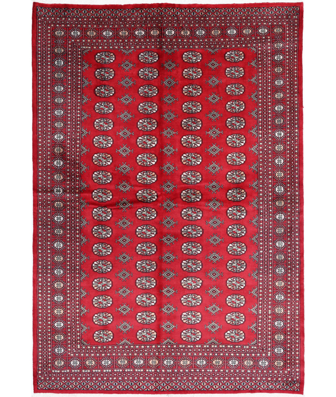 Bokhara 6'1'' X 8'9'' Hand-Knotted Wool Rug 6'1'' x 8'9'' (183 X 263) / Red / Black