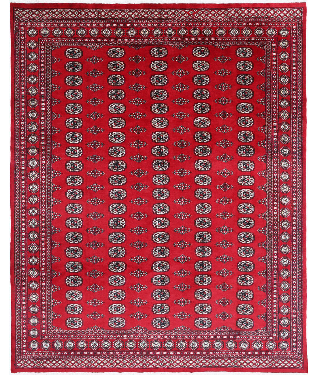 Bokhara 7'10'' X 9'11'' Hand-Knotted Wool Rug 7'10'' x 9'11'' (235 X 298) / Red / Beige