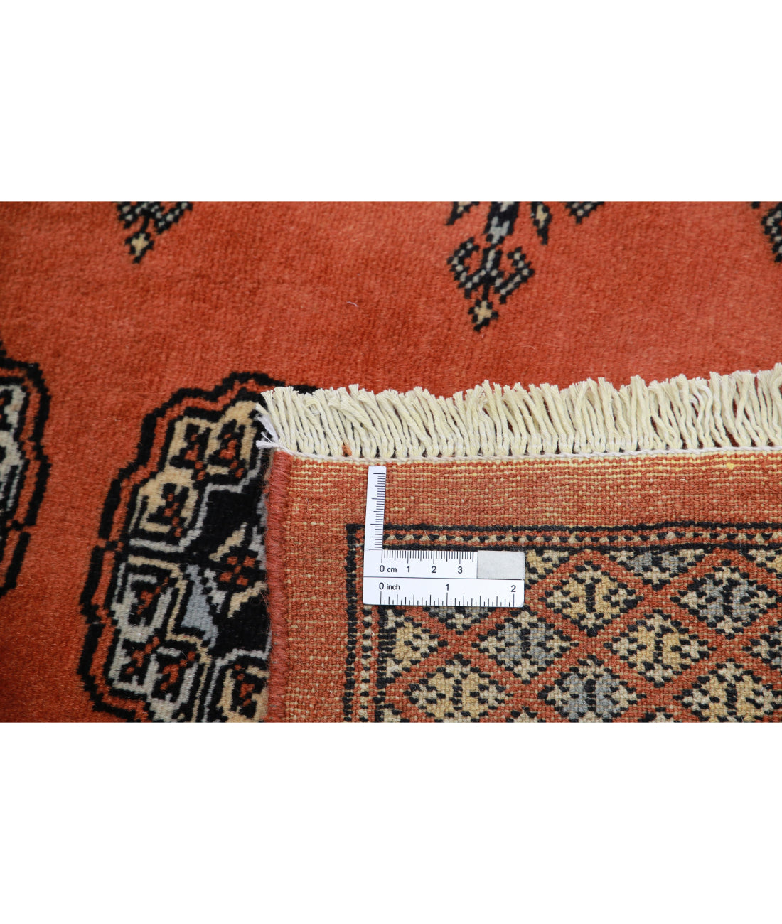 Bokhara 6'1'' X 9'0'' Hand-Knotted Wool Rug 6'1'' x 9'0'' (183 X 270) / Rust / Black