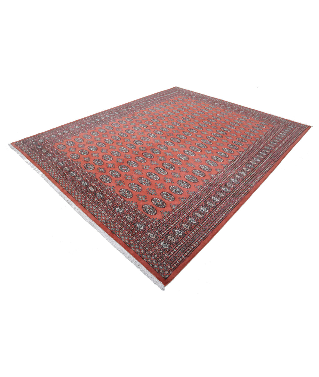 Bokhara 8'1'' X 10'1'' Hand-Knotted Wool Rug 8'1'' x 10'1'' (243 X 303) / Rust / Ivory