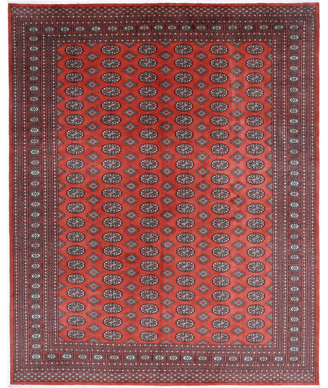 Bokhara 8'1'' X 10'1'' Hand-Knotted Wool Rug 8'1'' x 10'1'' (243 X 303) / Rust / Ivory