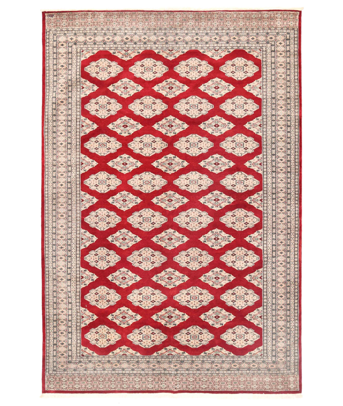 Hand Knotted Bokhara Wool Rug 6' 2" X 9' 0" 6' 2" X 9' 0" (188 X 274) / Red / Taupe