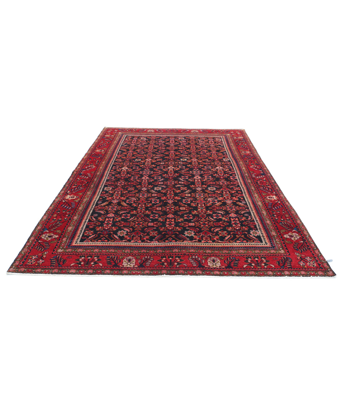 Hamadan 6'11'' X 9'11'' Hand-Knotted Wool Rug 6'11'' x 9'11'' (208 X 298) / Black / Red