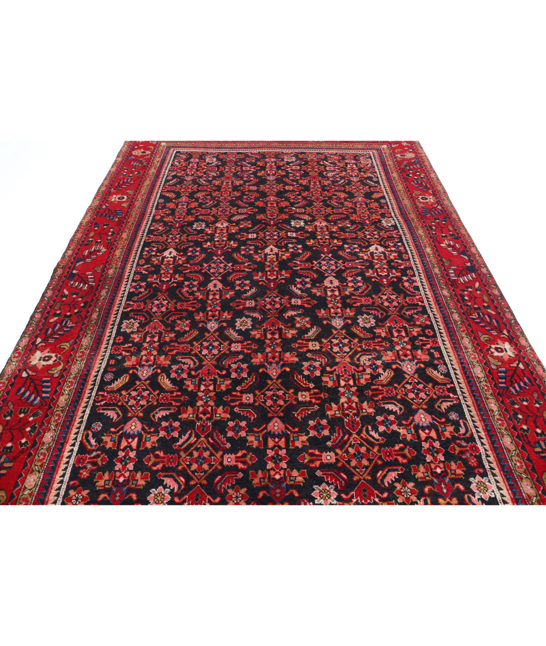 Hamadan 6'11'' X 9'11'' Hand-Knotted Wool Rug 6'11'' x 9'11'' (208 X 298) / Black / Red