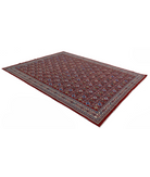 Shirvan 7'5'' X 9'8'' Hand-Knotted Wool Rug 7'5'' x 9'8'' (223 X 290) / Red / Ivory