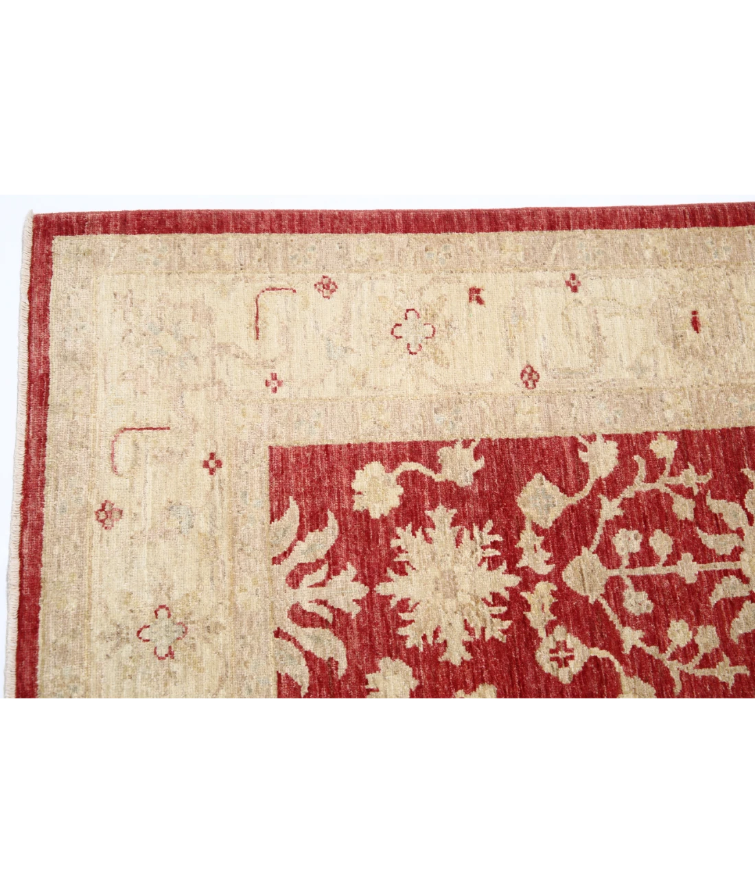 Ziegler 5'8'' X 7'10'' Hand-Knotted Wool Rug 5'8'' x 7'10'' (170 X 235) / Red / Ivory